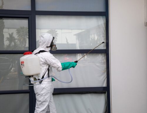 5 Reasons To Hire RAMS Cleaning Services as Your Commercial Pest Control Experts