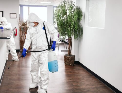 The Hidden Dangers of Neglected Office Spaces: How Professional Cleaning Can Help